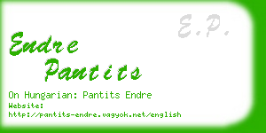 endre pantits business card